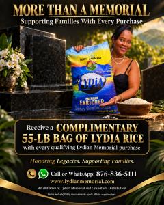Lydian Memorial and Grandfada Distribution Launch Family Support Initiative Featuring Lydia Rice