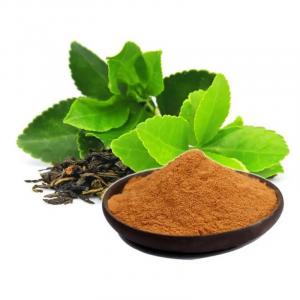 How Serum Pharma Advances Green Tea Extract Supply Through Botanical Innovation, Quality Control and Market Applications