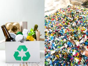 Fish Creek Bottle Depot Refreshes Calgary Bottle-Return Guidance for Households and Community Groups – image 2