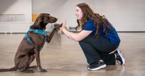 Academy of Pet Careers wins BBB Torch Award, adding to a banner 2026