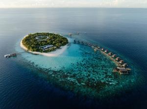 Park Hyatt Maldives Hadahaa launches Masters of Food & Wine series