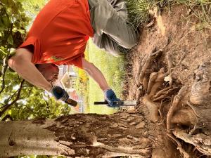 Tree Tech Tree Service debuts new website after nearly 40 years in Jacksonville